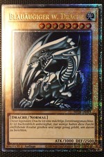 Blauäugiger W. Drache - MP24