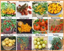 Tomate Set 3: Cherry Cockteil