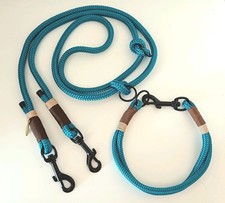 Set tau halsband leine türkis - halsband,