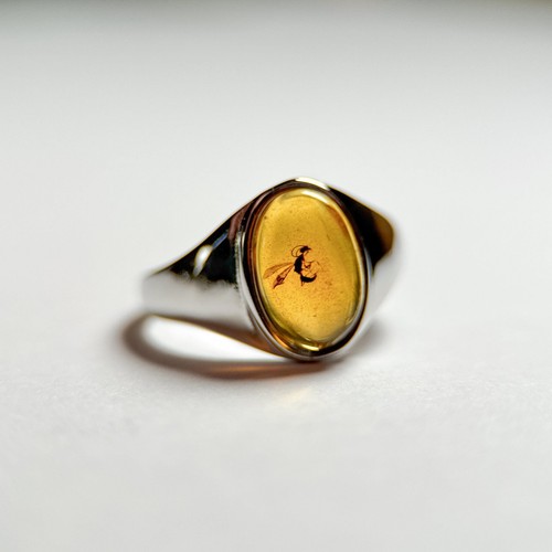 Wasp bernstein fossil ring - fossil,
