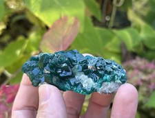 DIOPTASE XX with MALACHITE XX / Emerald Green Crystals / Midingi Kongo Congo