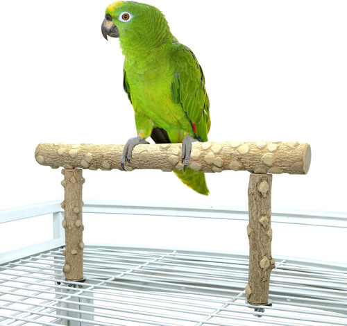 Vogelsitzstange
