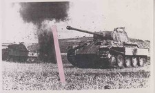 2.WK Foto Panzer  Panther Top