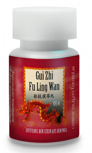 T054 gui zhi ling wan - gui, fu