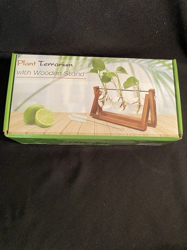 Plant terrarium with wooden - terrarium,