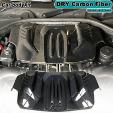 DRY Carbon Motorabdeckung