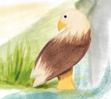 Seeadler stehend - Ostheimer