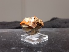 Rosa - Topas - auf Matrix - Katlang - Pakistan