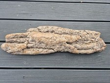 49 cm XL Treibholz Schwemmholz