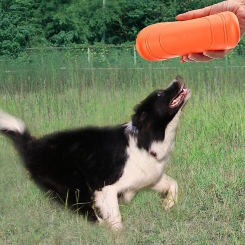 2pcs hunde frisbee weiche - hunde,