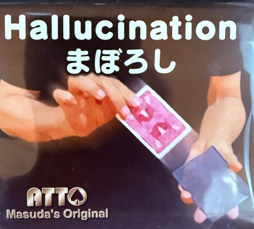 Hallucination visuelle - hallucination,