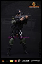 Damtoys Dam78017 1/6 Chinese People’S Armed Police Force Anti-Terrorism Force