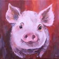 Lustiges FERKEL Schwein Bild