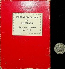 13 vorbereitete Dias Tiere