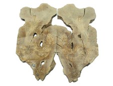 2x Oliven Wurzelholz Holz für