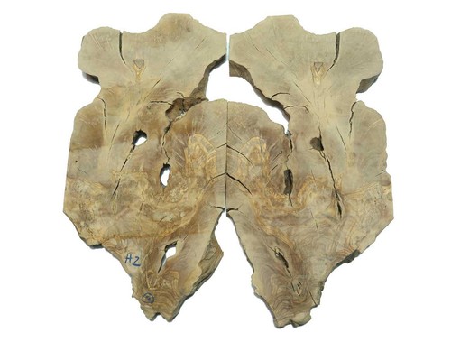 Oliven wurzelholz holz für - holz,