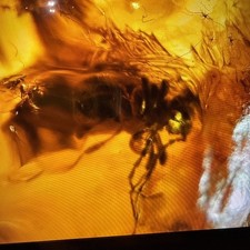 ca.13,76 gr. Einzigartige