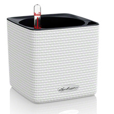 Lechuza cube color - color, 14