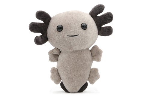 Axolotl echse molch - axolotl,