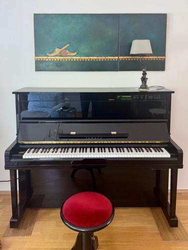 Piano disklavier 100 ii - disklavier, mx