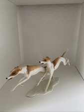 Windhund Greyhound Whippet