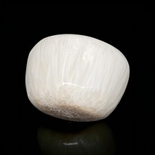 Skolezit Premium Trommelstein