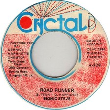 Bionic Steve (2) - Road