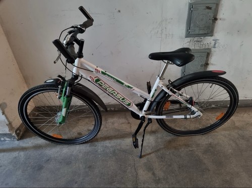 Pegasus avanti sport zoll - 26,