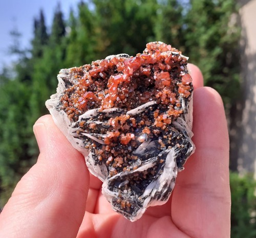 Mineralien vanadinit baryt - vanadinit,,
