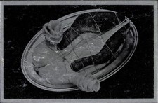 Künstler Ak Oppenheim, Meret