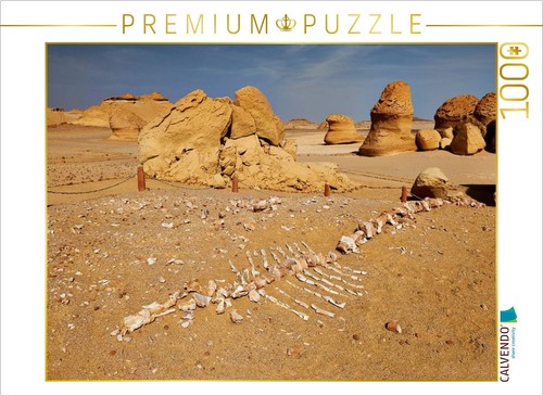 Calvendo puzzle versteinertes - calvendo,