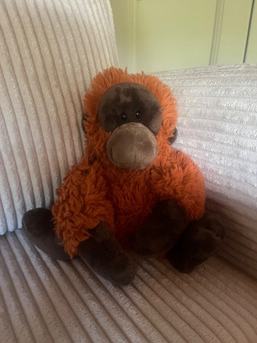 Nici orang utan - nici,
