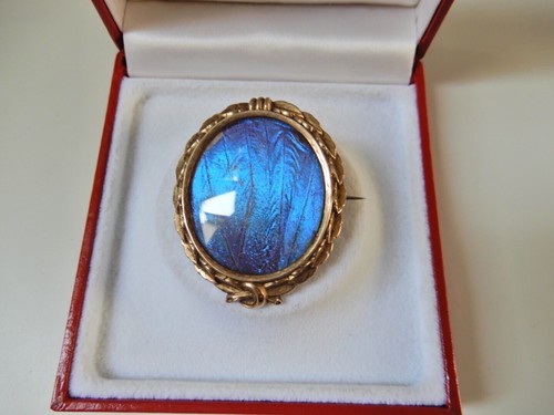 Antik 585 gold - brosche, mit
