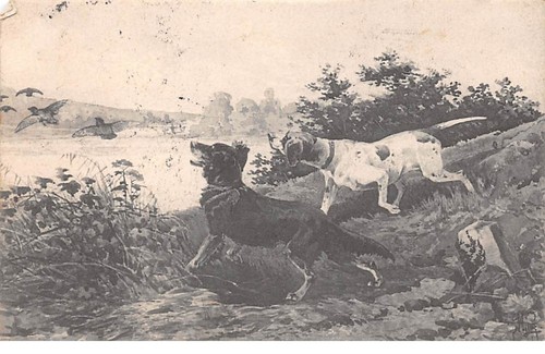Sport 63735 jagd - -,