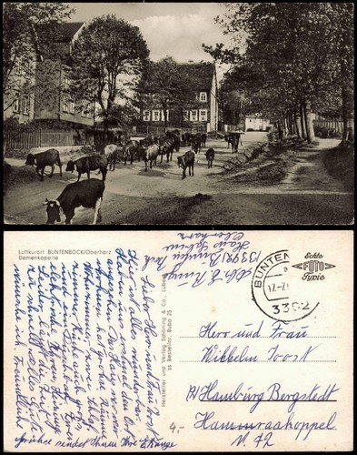 Buntenbock ortsansicht - buntenbock,