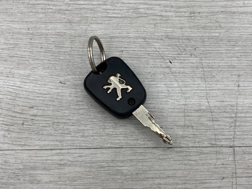 Peugeot 206 autoschlüssel - 206,