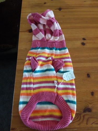 Hunde pullover strick - hunde,