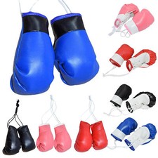2pcs Mini -Boxhandschuhe