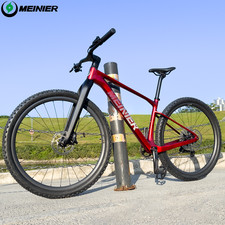 29ER Carbon MTB Fahrrad