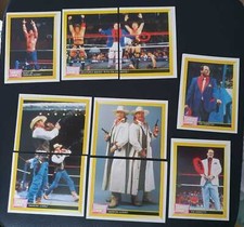  WWF Sticker Merlin 1993 (20)