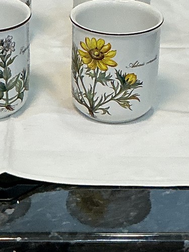 Villeroy boch botanica vitro - villeroy+boch, +botanica+vitro