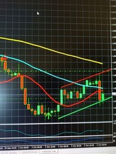 forex trading Programm