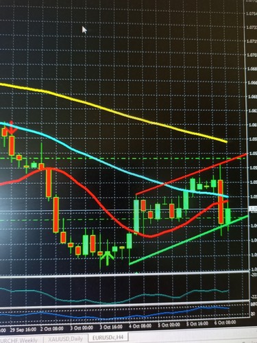 Forex trading programm - trading,