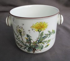 Villeroy & Boch Botanica