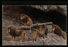 AK Hamburg-Stellingen