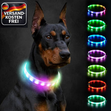 Leuchthalsband Hund