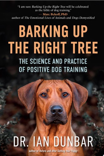 Barking the right tree - barking, tree: