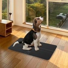 Digitale Haustierwaage