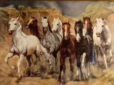 Kunstdruck, Motiv Pferde, Wildpferde, Canyon, 74cm x 54cm mit Rahmen & Glas