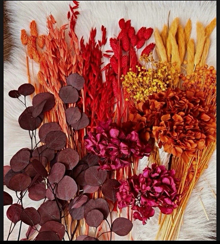 Getrocknete trockenblumen - trockenblumen, &